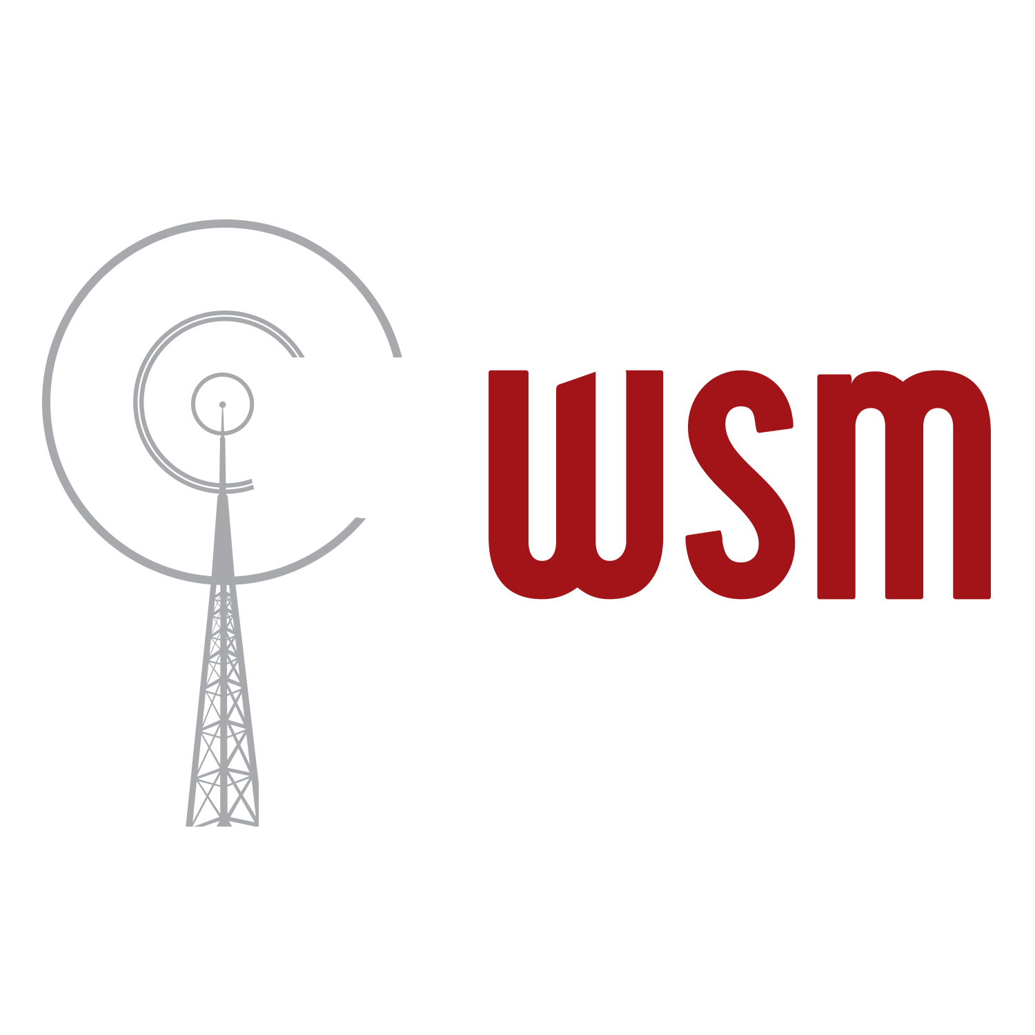 WSM Radio (Logo)